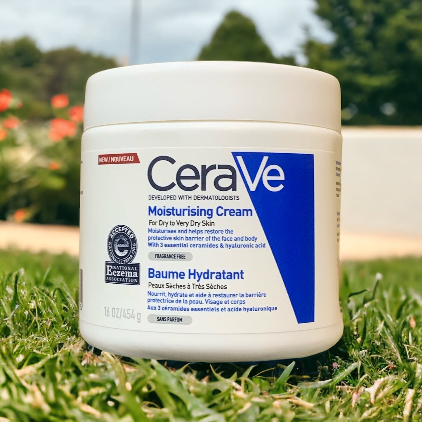 Cerave Moisturizing Cream (big size)