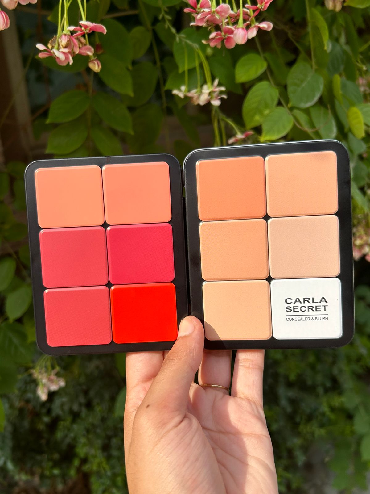 Carla Secret Concealer &  Blush  Professional Makeup